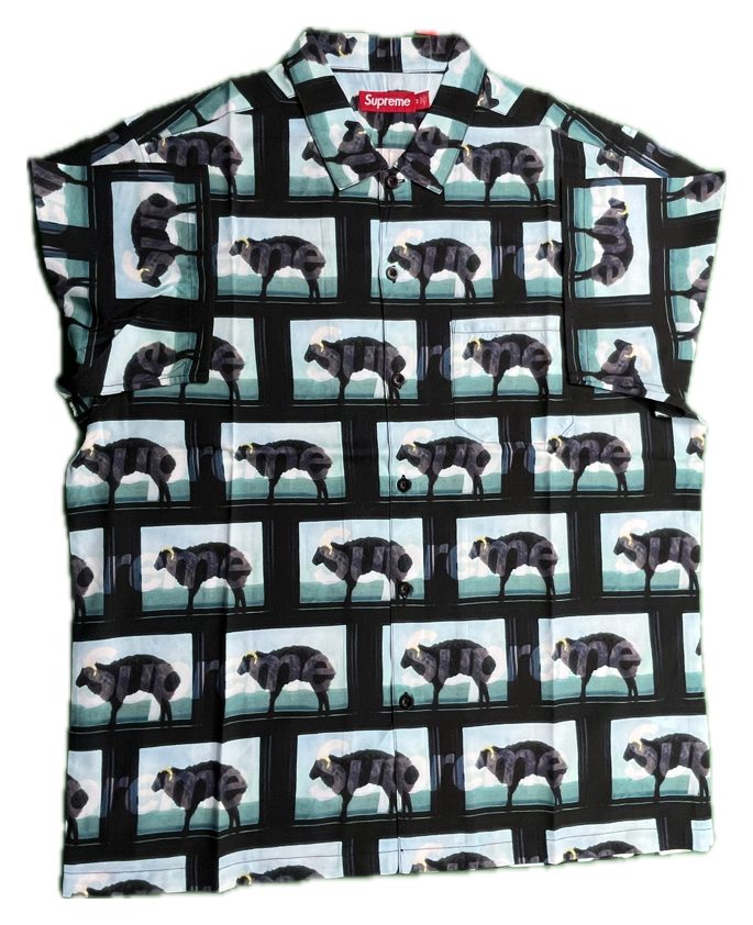 Supreme x Damien Hirst Ram Button Up